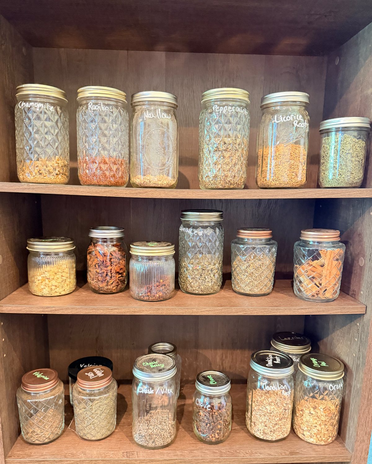 Three wooden shelves of glass jars filled with dried bulk herbs in the shop